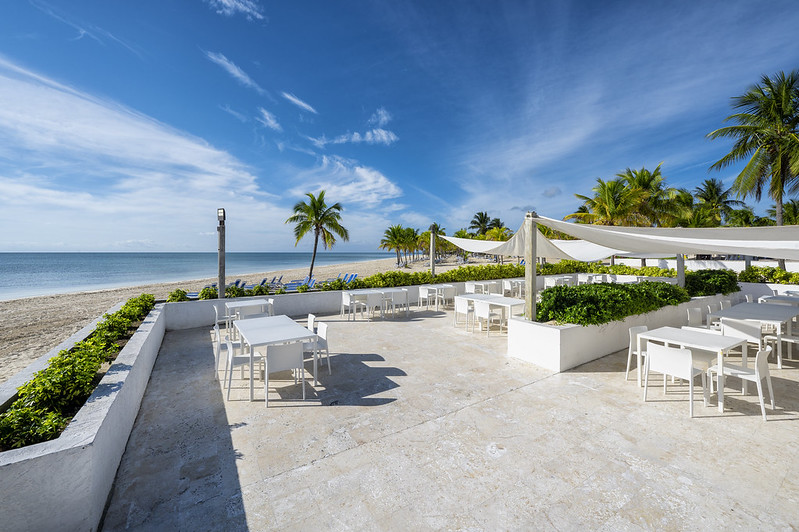 51841900987_a32140ed8b_c